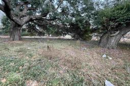 756 Laurens Street Nw photo 4