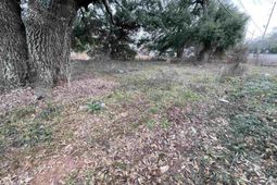 756 Laurens Street Nw photo 4