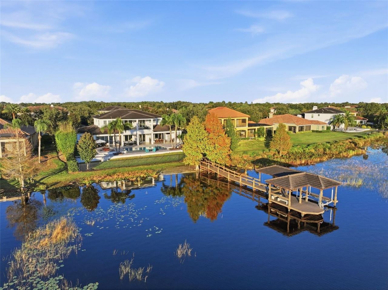 11618 Vinci Drive, Windermere, FL 34786 Photo