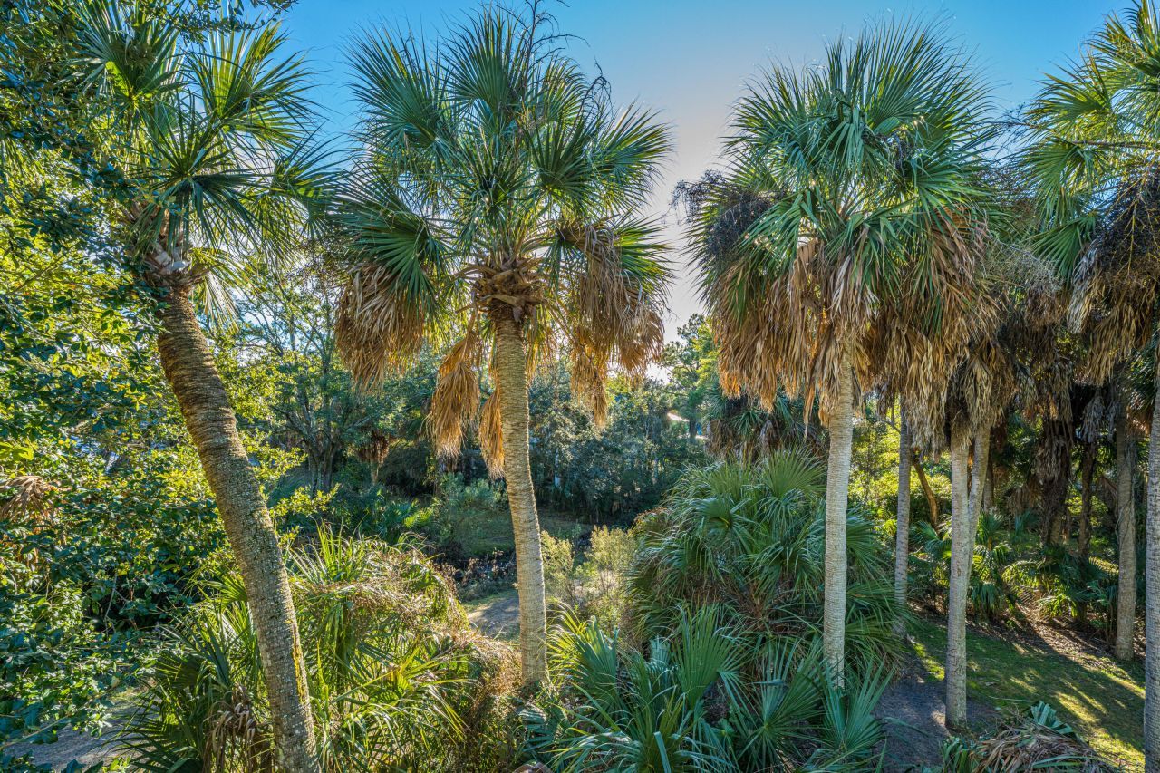 211 W Hudson Avenue Photo 38