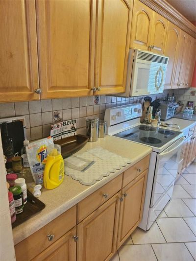 1045 SE 15th Street, Unit 13C, Fort Lauderdale, FL 33316 Photo