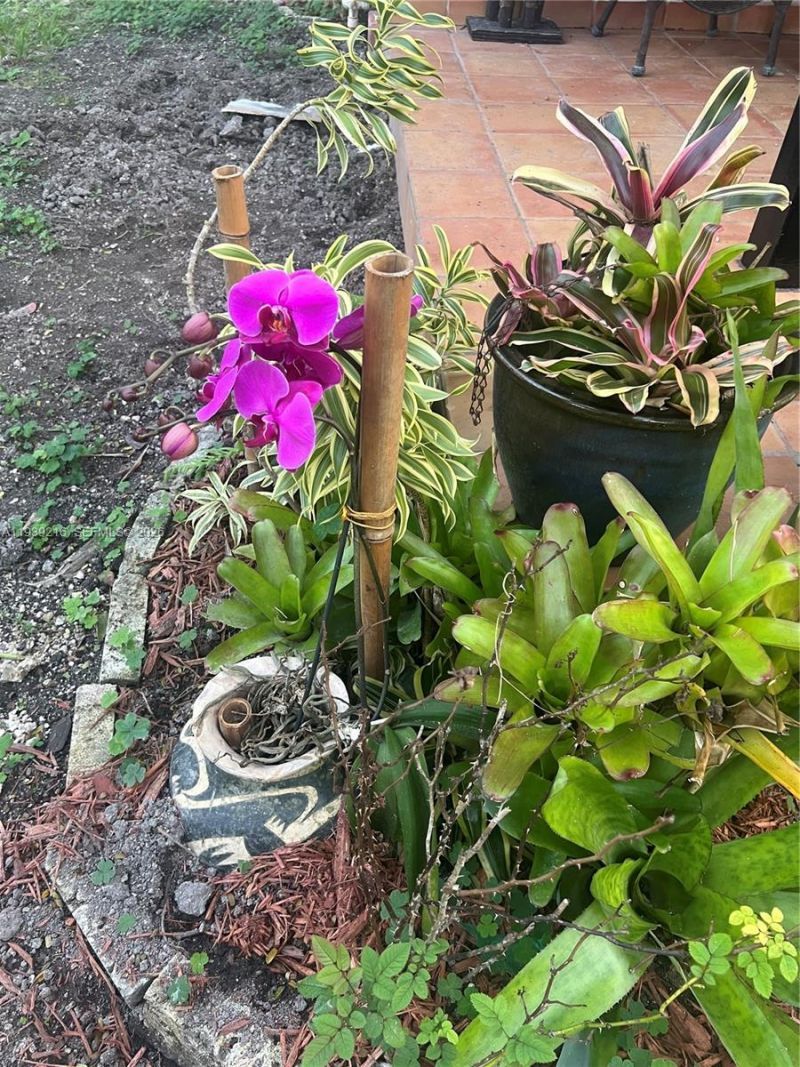 17540 SW 254th St, Homestead, FL 33031 Photo