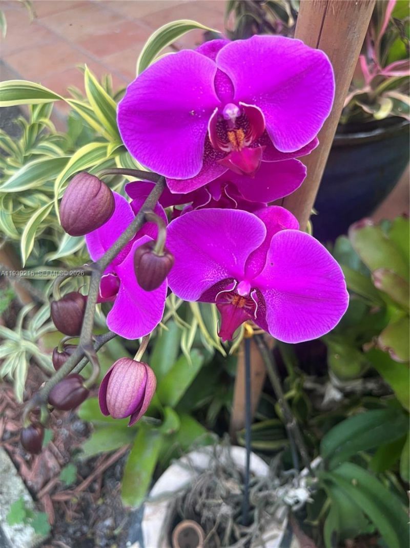 17540 SW 254th St, Homestead, FL 33031 Photo