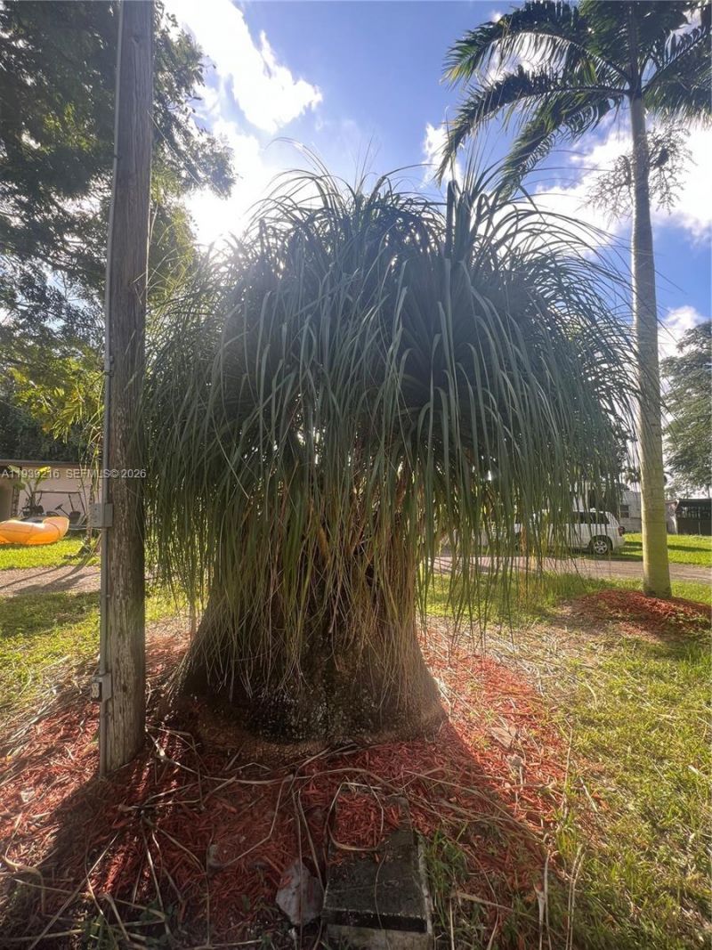 17540 SW 254th St, Homestead, FL 33031 Photo