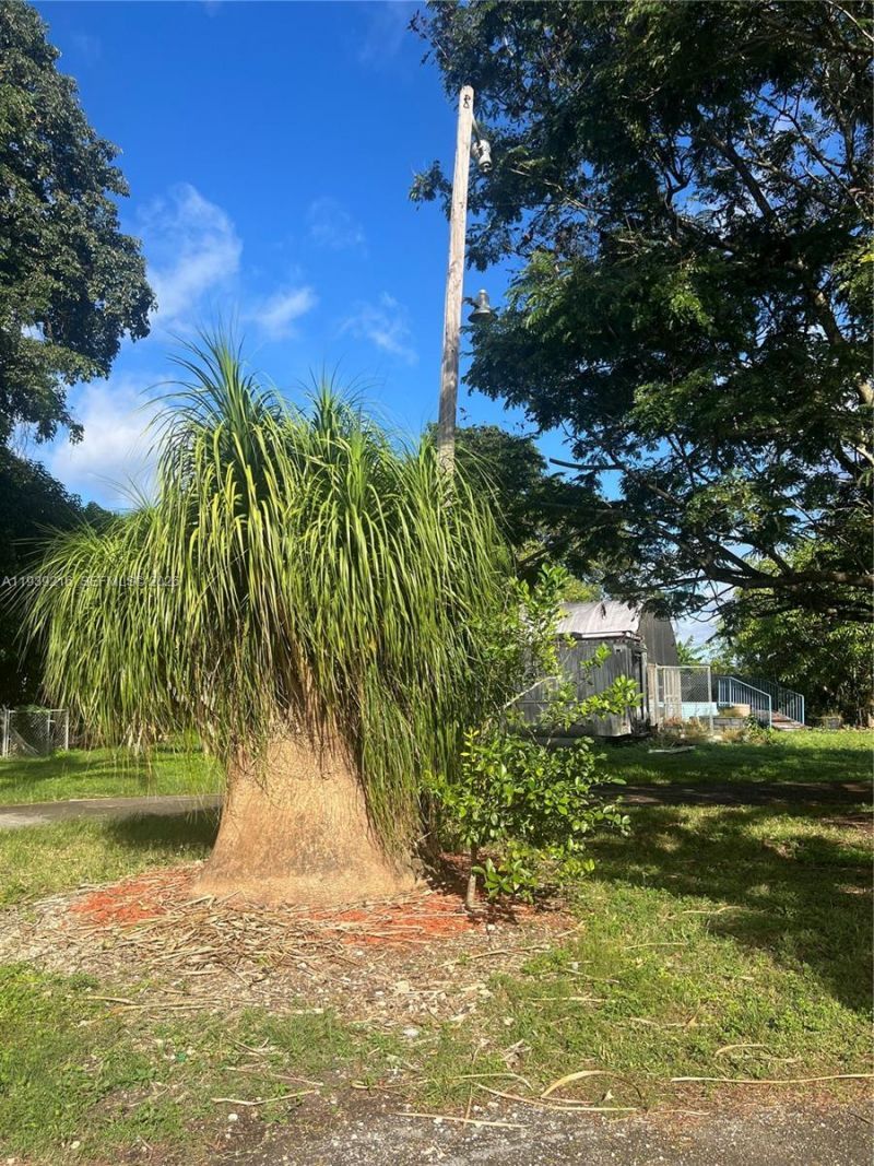 17540 SW 254th St, Homestead, FL 33031 Photo