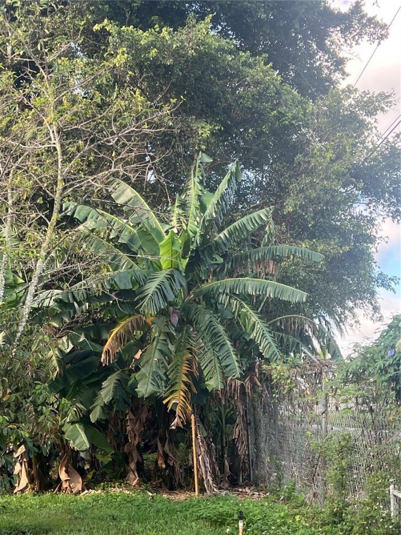 17540 SW 254th St, Homestead, FL 33031 Photo