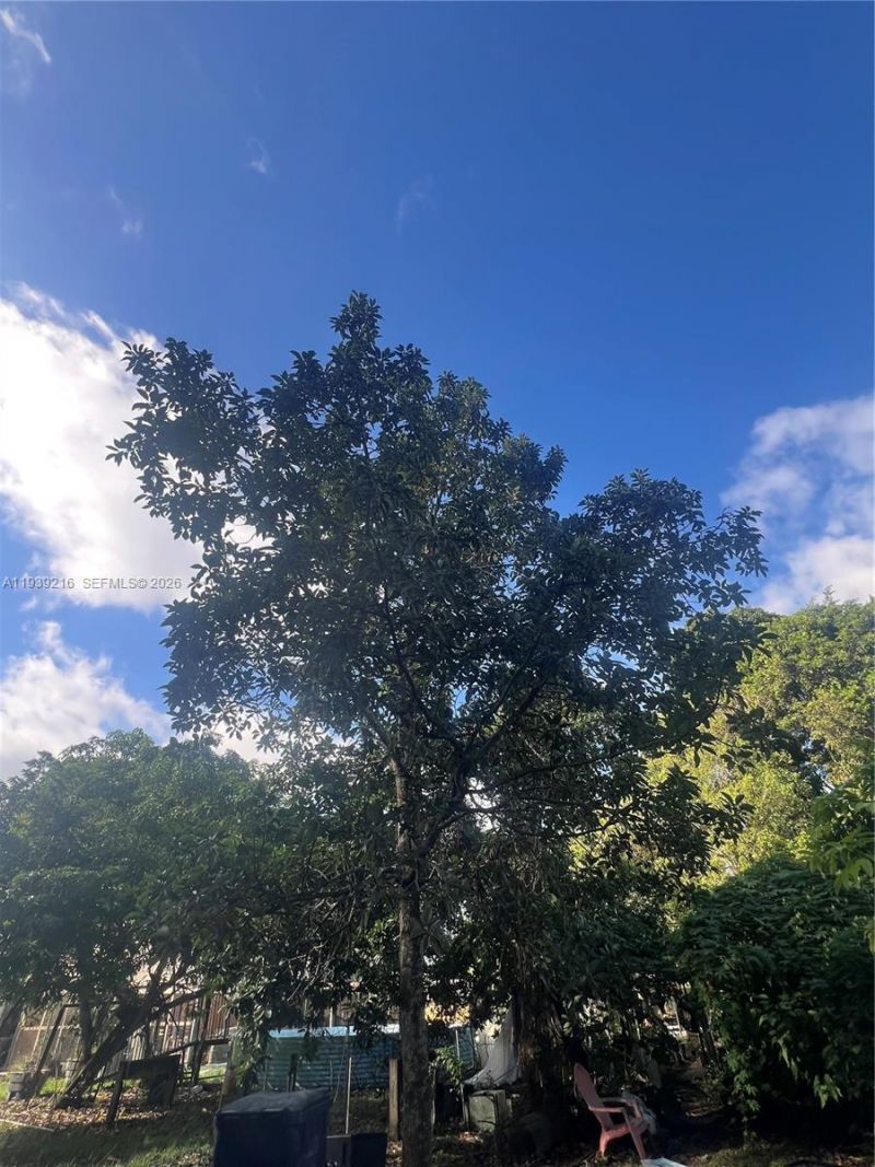 17540 SW 254th St, Homestead, FL 33031 Photo