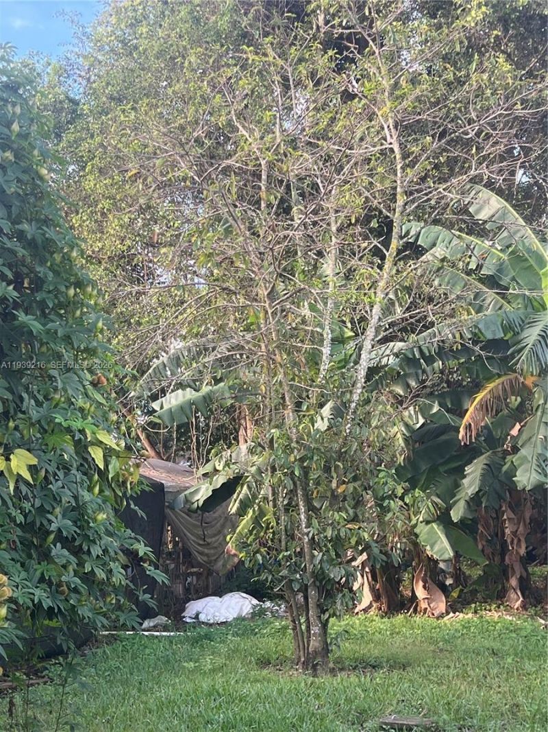 17540 SW 254th St, Homestead, FL 33031 Photo