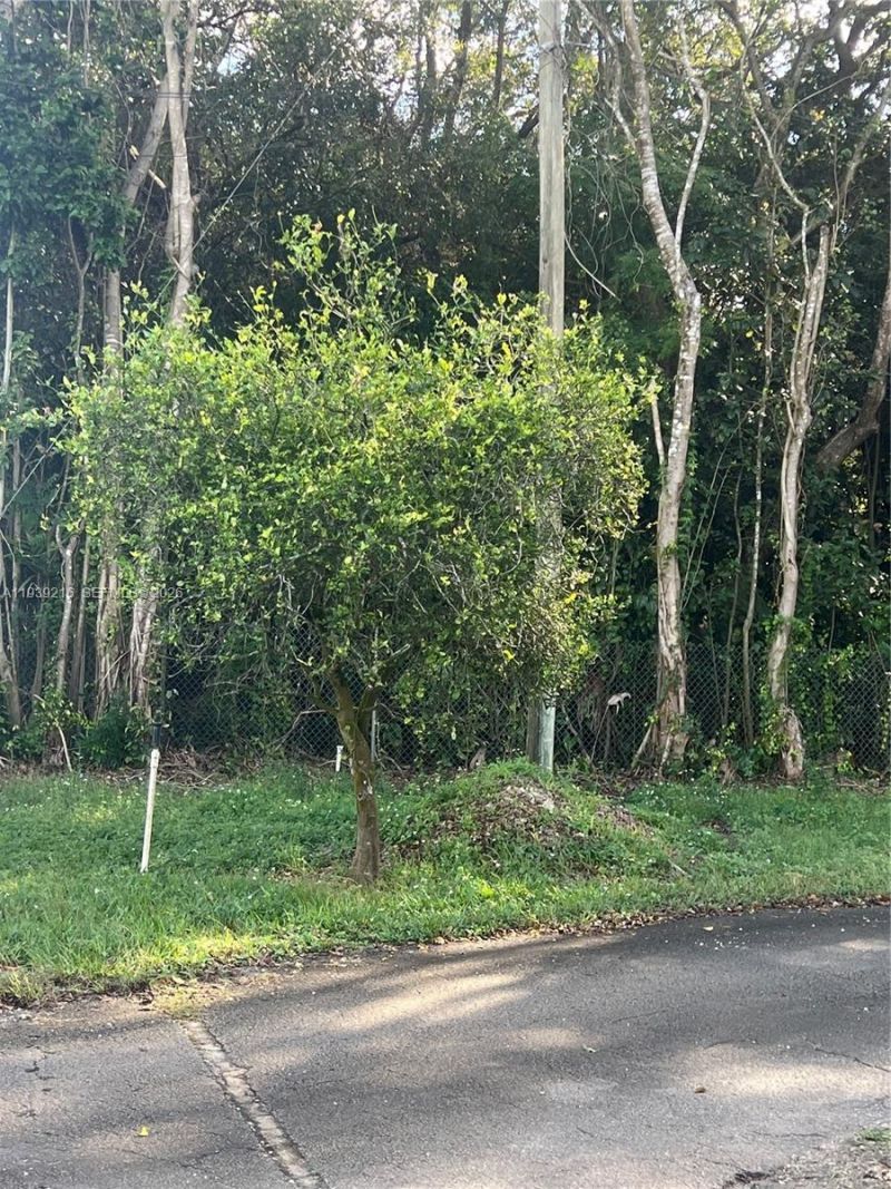 17540 SW 254th St, Homestead, FL 33031 Photo