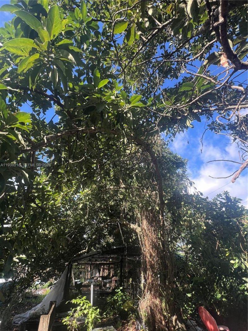 17540 SW 254th St, Homestead, FL 33031 Photo