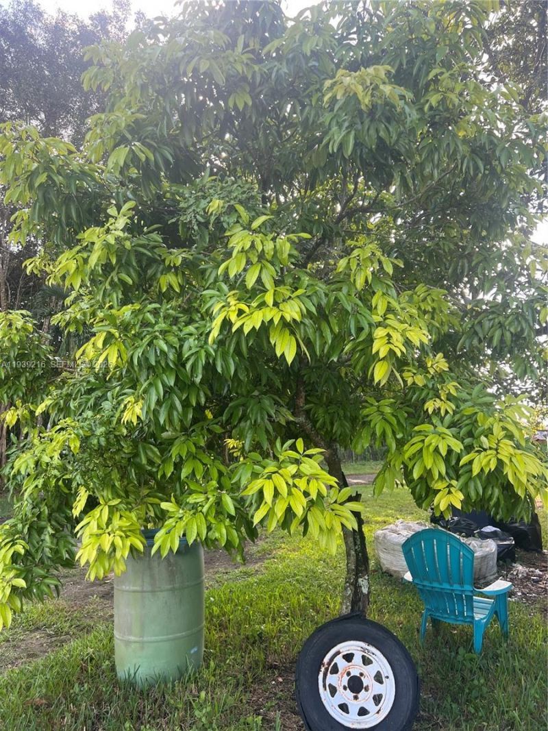 17540 SW 254th St, Homestead, FL 33031 Photo