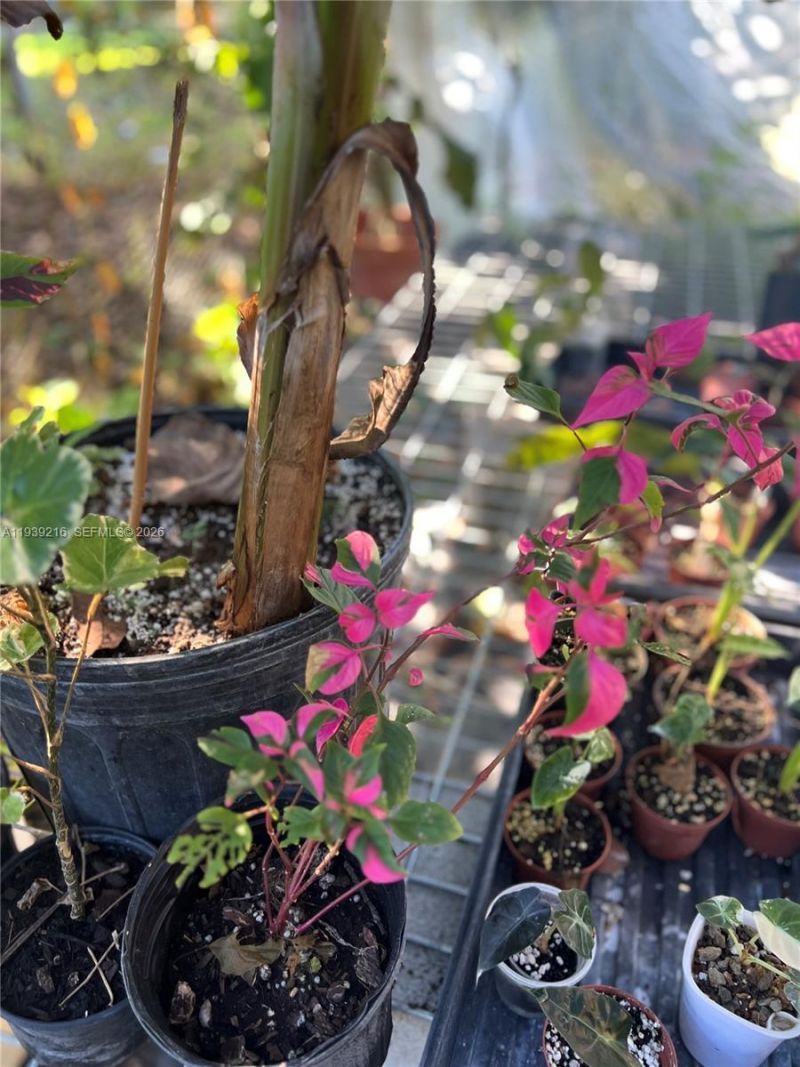 17540 SW 254th St, Homestead, FL 33031 Photo