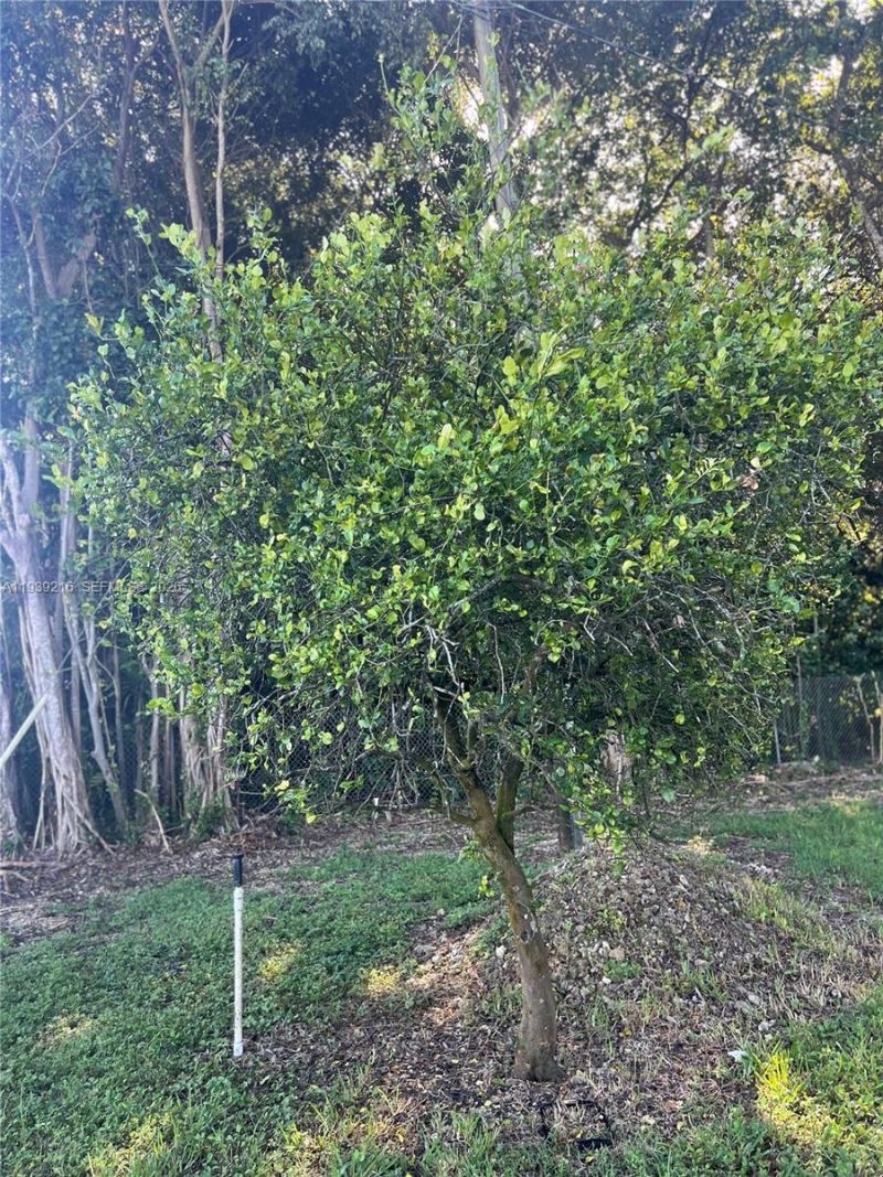 17540 SW 254th St, Homestead, FL 33031 Photo