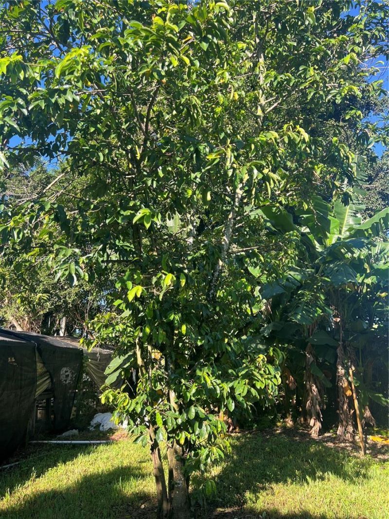 17540 SW 254th St, Homestead, FL 33031 Photo