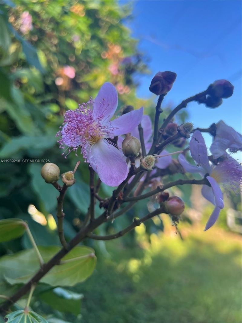 17540 SW 254th St, Homestead, FL 33031 Photo