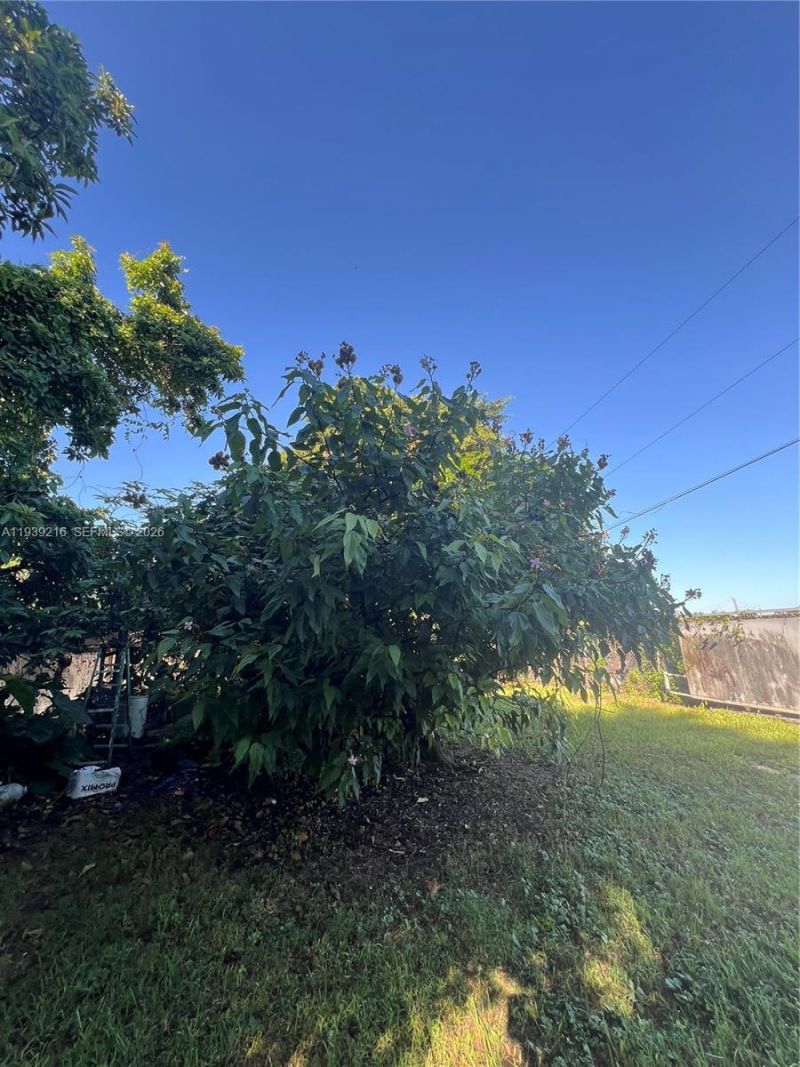 17540 SW 254th St, Homestead, FL 33031 Photo