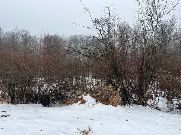 18 AC Chicago Avenue, Coloma, WI 54930