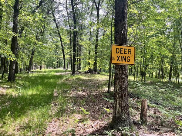 17.89 Acres Chicago Avenue, Coloma, WI 54930