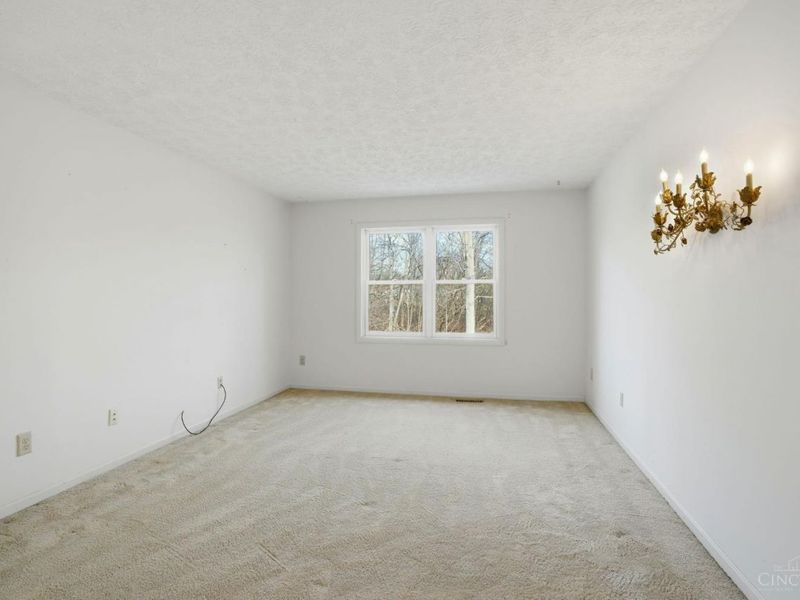 11736 Gable Glen Lane, Symmes Township, OH 45249 Photo 24