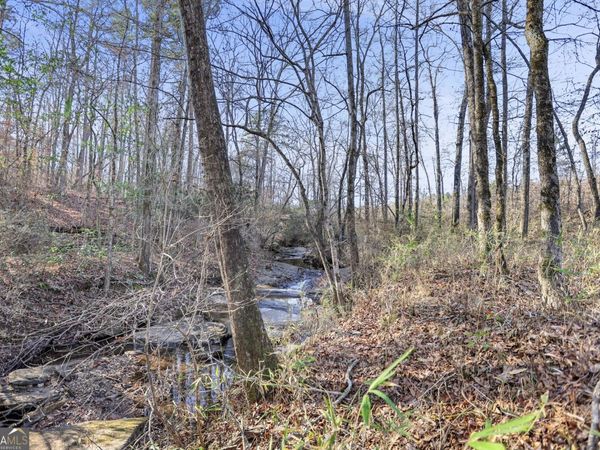 48.22 Franklin Parkway, Franklin, GA 30217