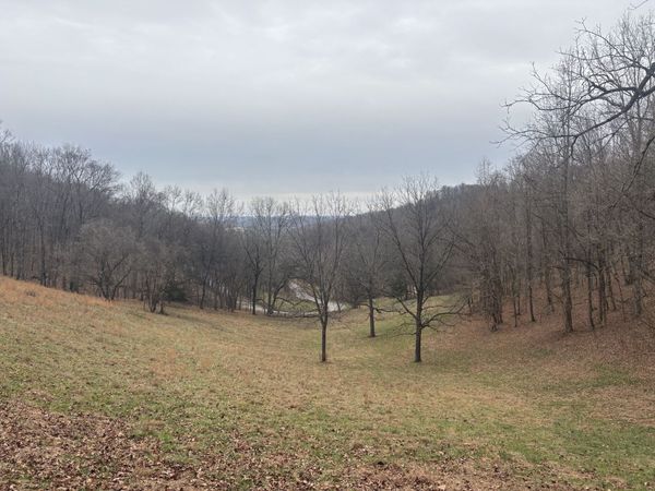 0 Crooked Hill Rd , Pulaski, TN 38478