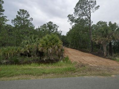 0 Bennetts Point Road, Green Pond, SC 29446