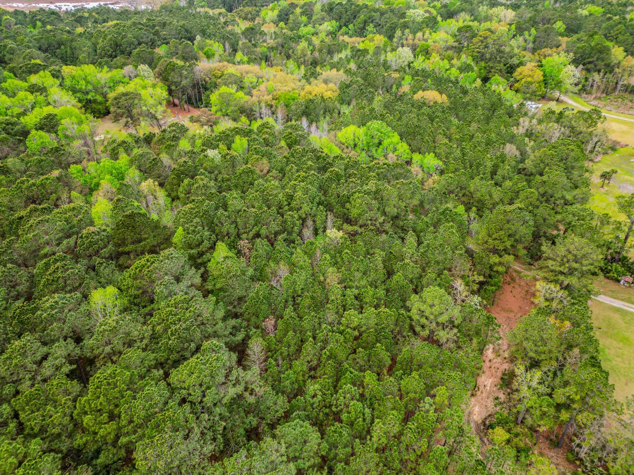 0 Bennetts Point Road Photo 7