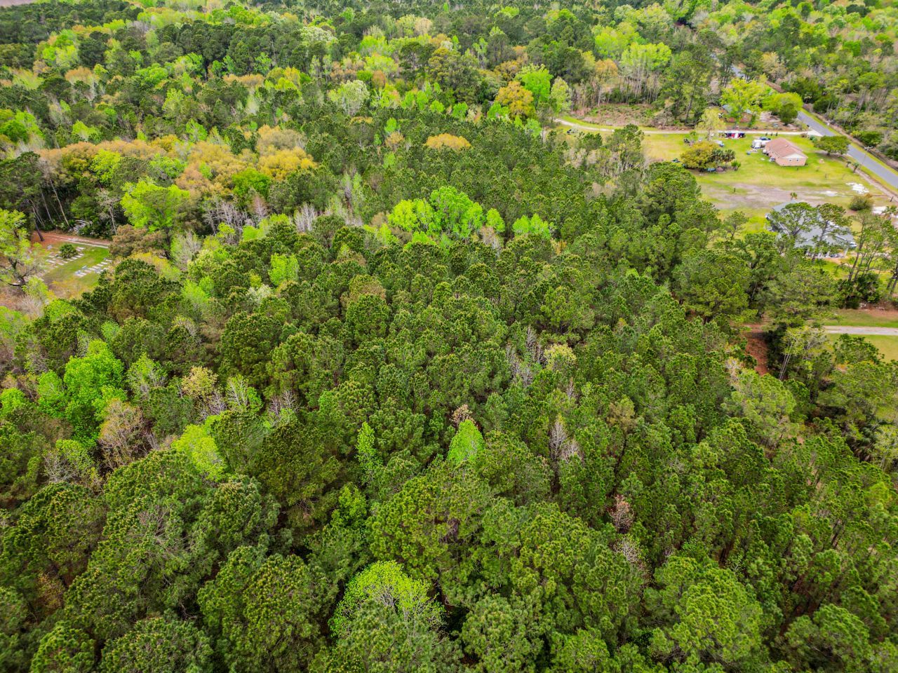 0 Bennetts Point Road Photo 9