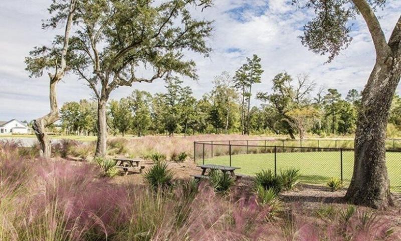 1008 Patagonia Street Photo 23