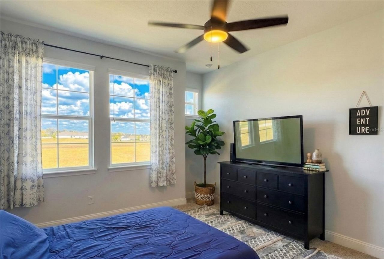 236 Caladium Avenue, Lake Alfred, FL 33850 Photo