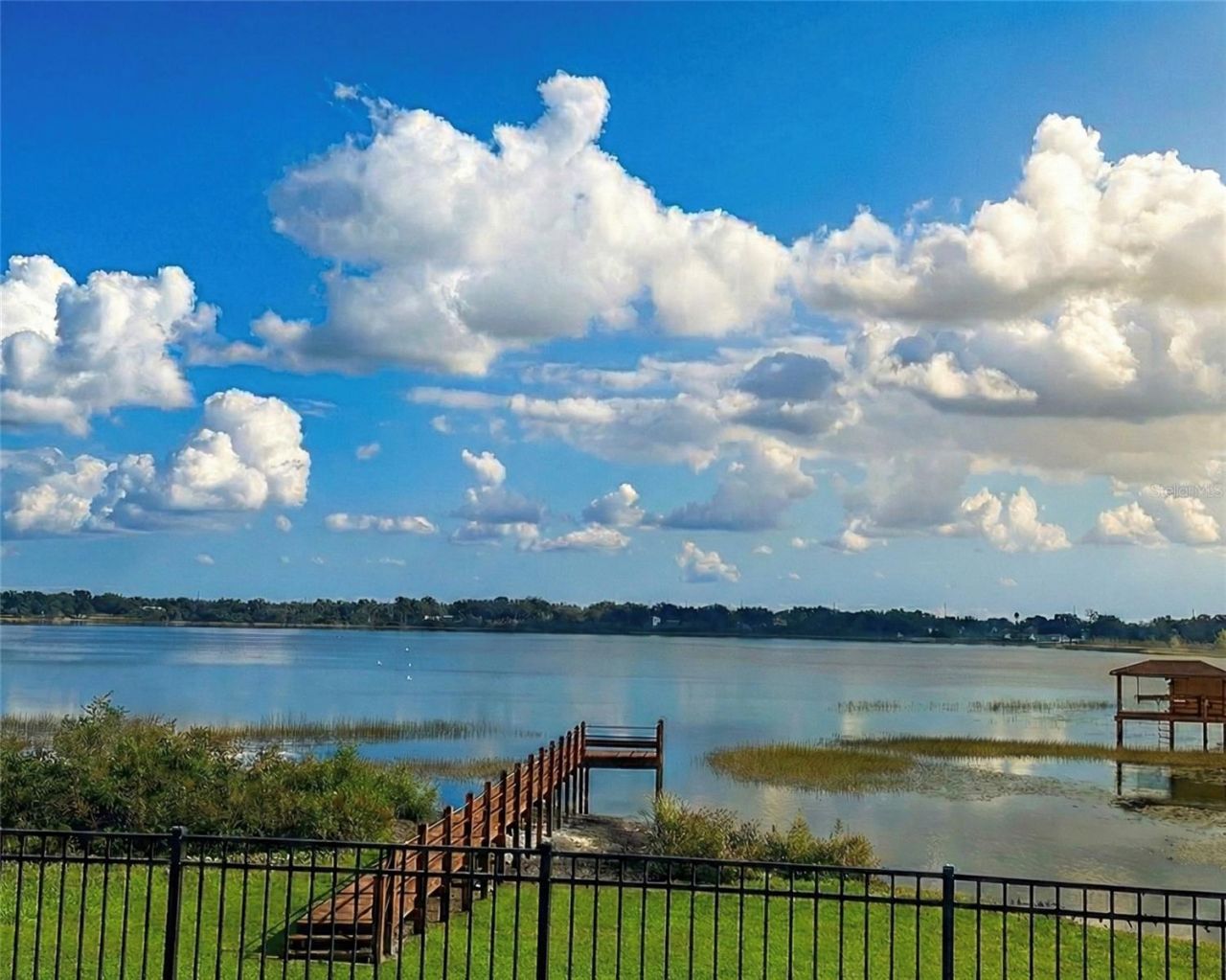 236 Caladium Avenue, Lake Alfred, FL 33850 Photo