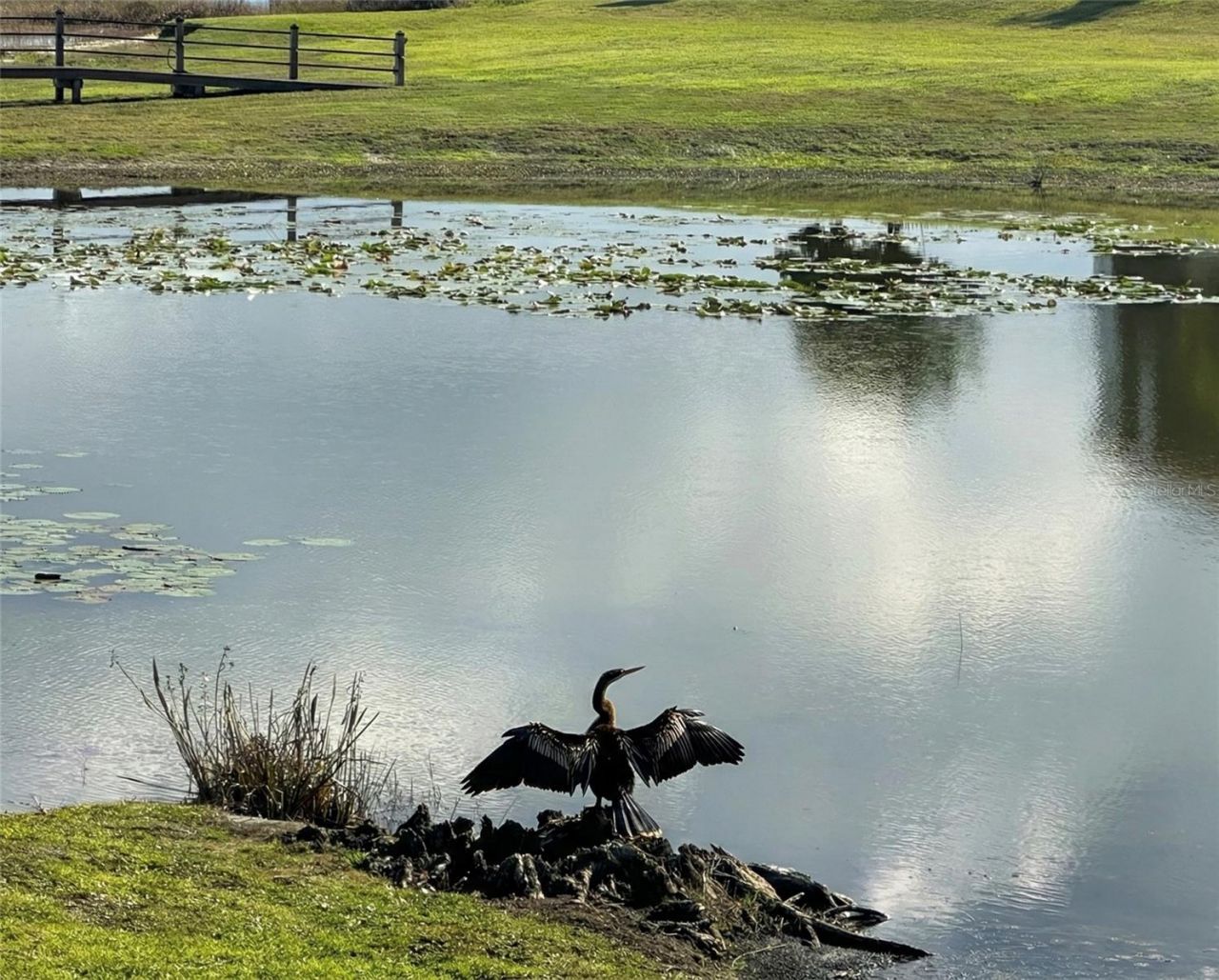 236 Caladium Avenue, Lake Alfred, FL 33850 Photo