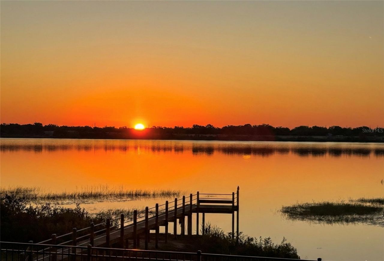 236 Caladium Avenue, Lake Alfred, FL 33850 Photo