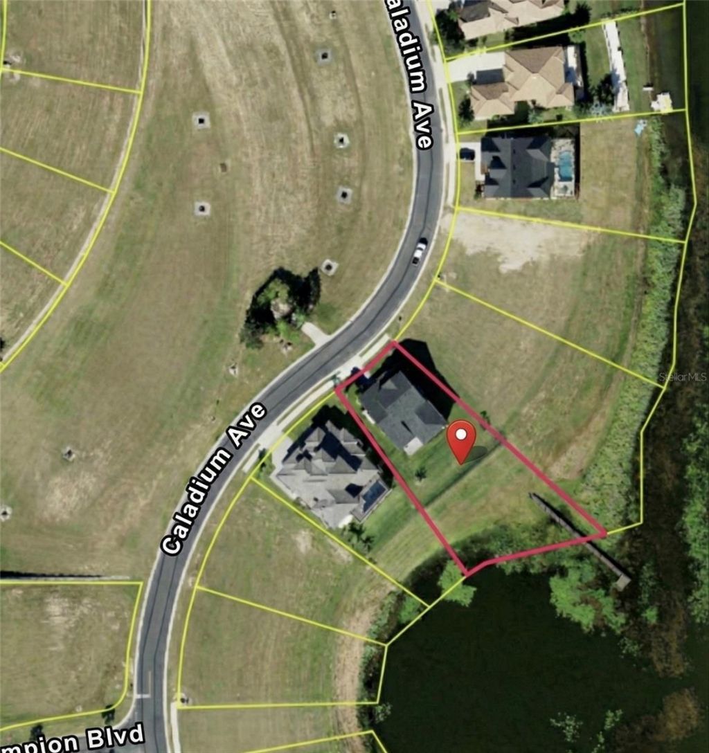 236 Caladium Avenue, Lake Alfred, FL 33850 Photo