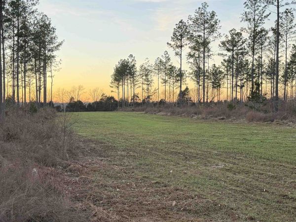 460 CLIFFT RD, Bolivar, TN 38008