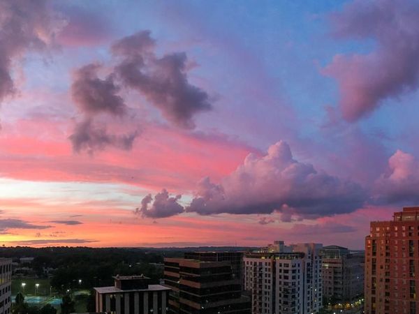 3800 FAIRFAX DRIVE, Unit 1211, ARLINGTON, VA 22203