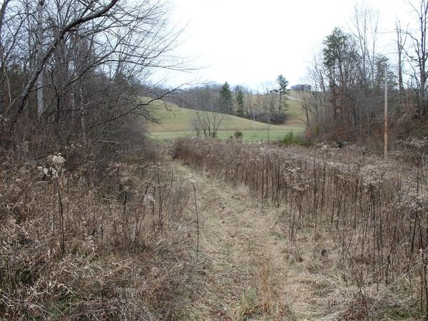 1065 Blaze Road, West Liberty, KY 41472