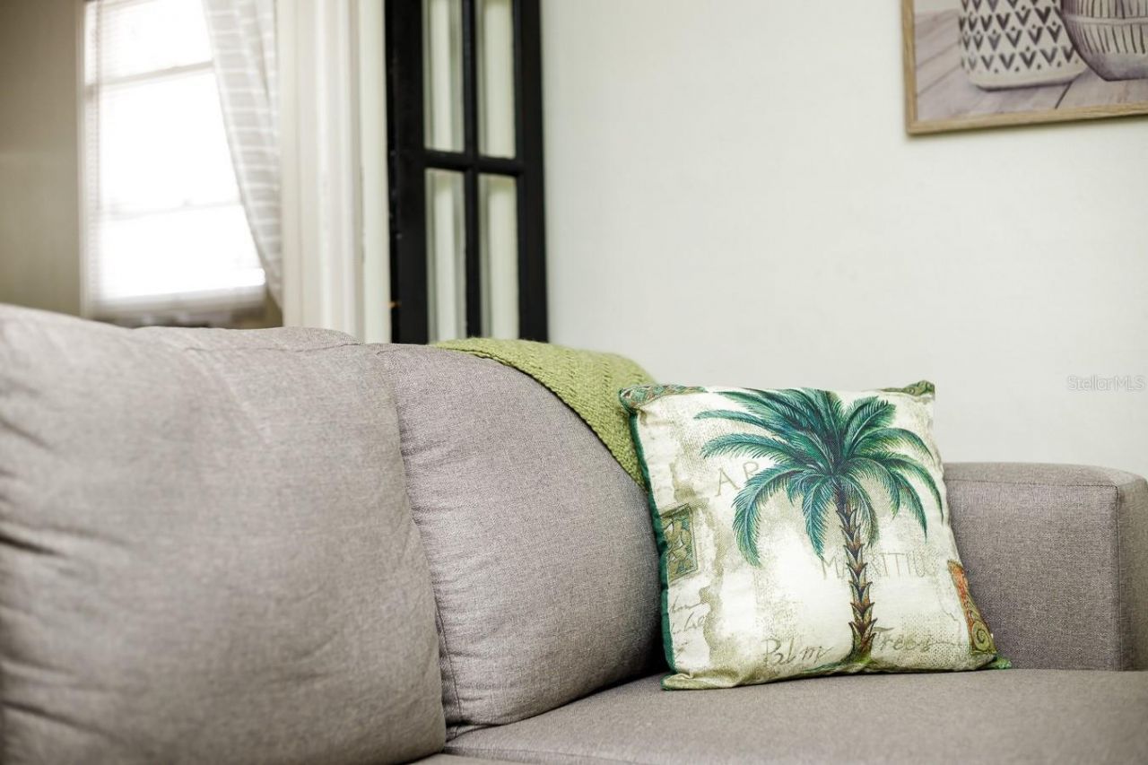 1043 7th Avenue N, Saint Petersburg, FL 33705 Photo