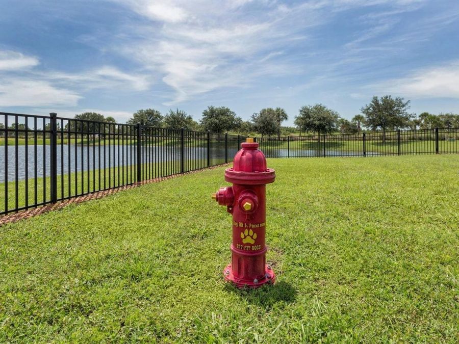 Property Image 95