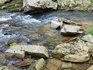 0 Earley Farm Rd, Madison Heights, VA 24572