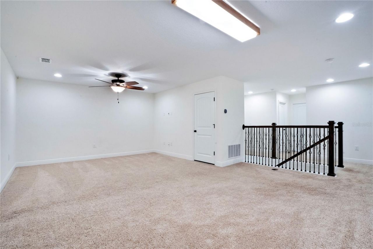 9009 Palm Key Avenue, Oldsmar, FL 34677 Photo