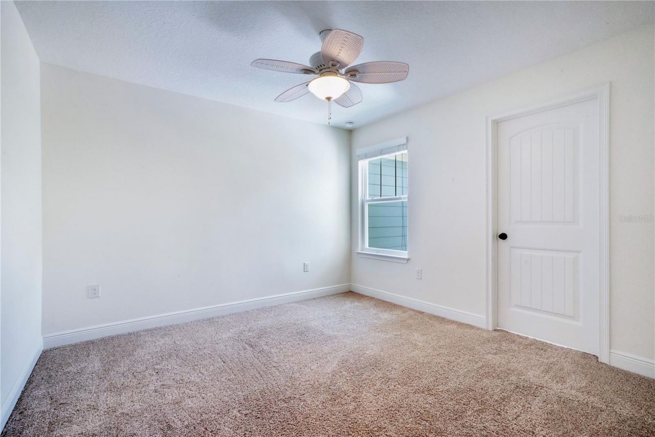 9009 Palm Key Avenue, Oldsmar, FL 34677 Photo