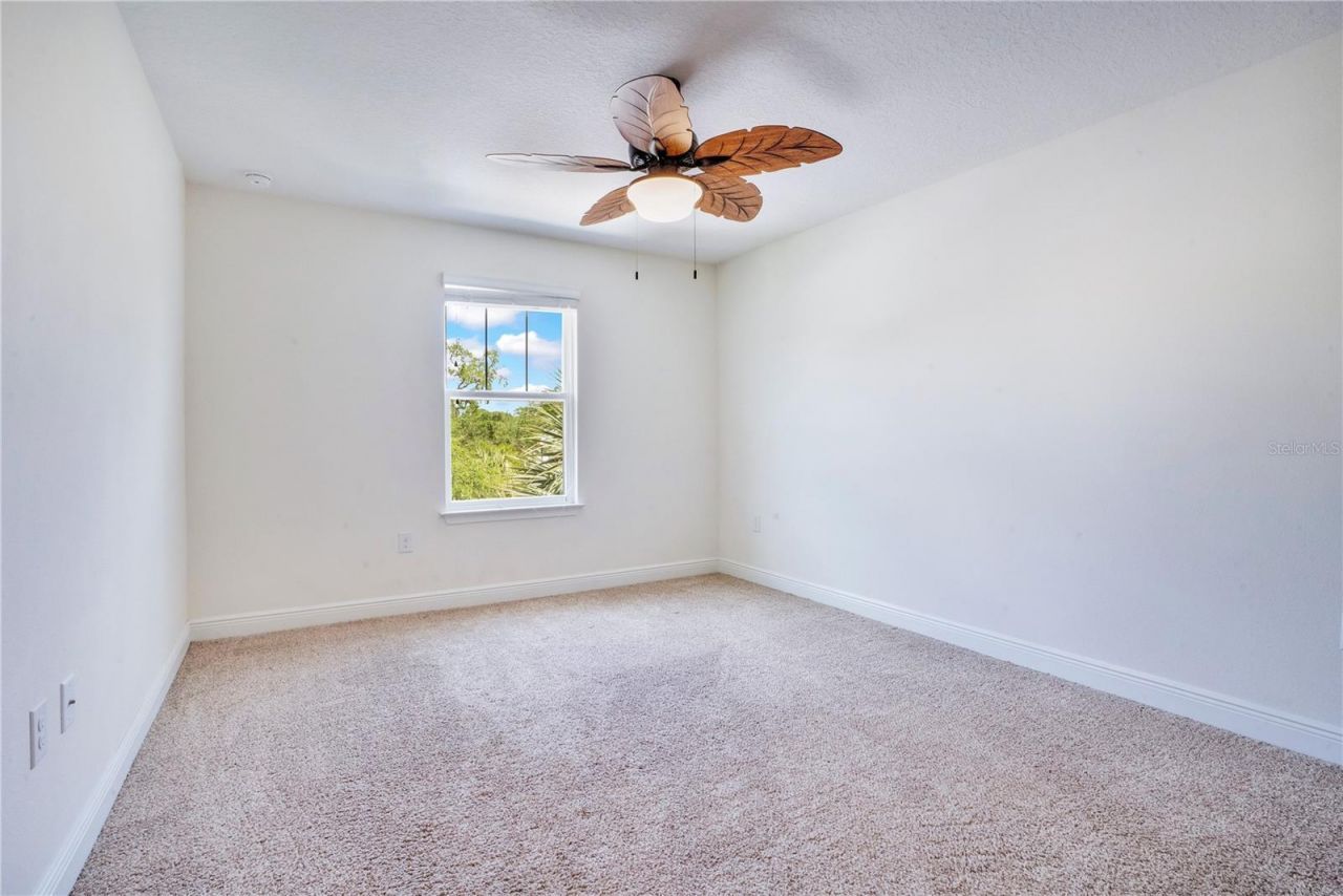 9009 Palm Key Avenue, Oldsmar, FL 34677 Photo