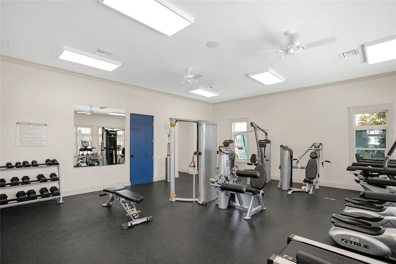 9009 Palm Key Avenue, Oldsmar, FL 34677 Photo
