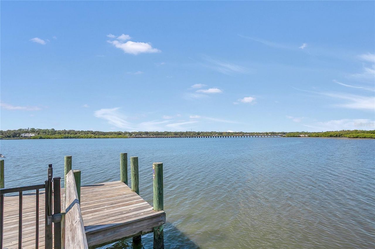 9009 Palm Key Avenue, Oldsmar, FL 34677 Photo