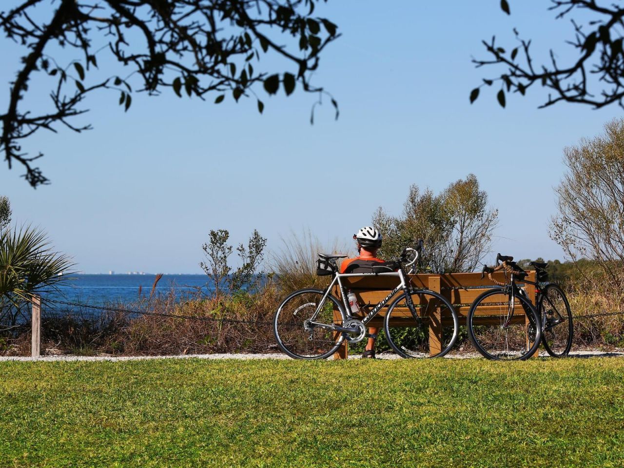 12313 Baypointe Terrace, Cortez, FL 34215 Photo