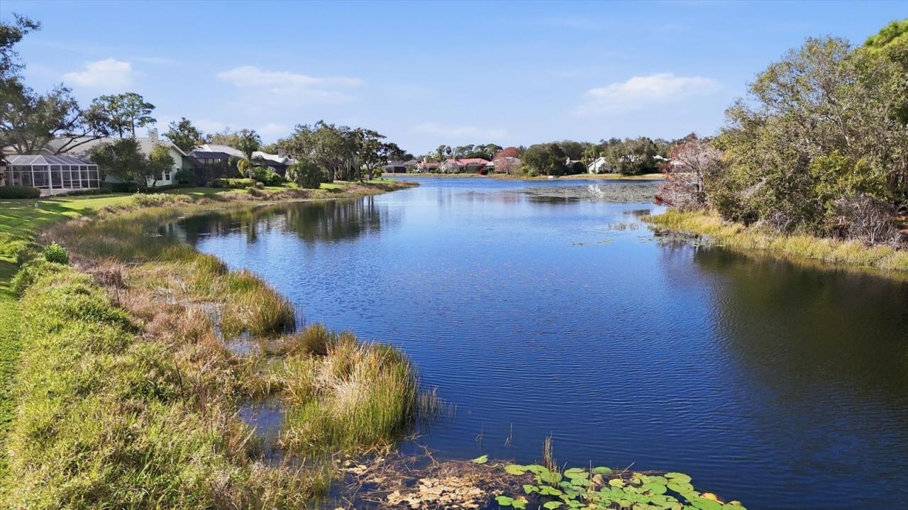 8687 Woodbriar Drive, Sarasota, FL 34238 Photo