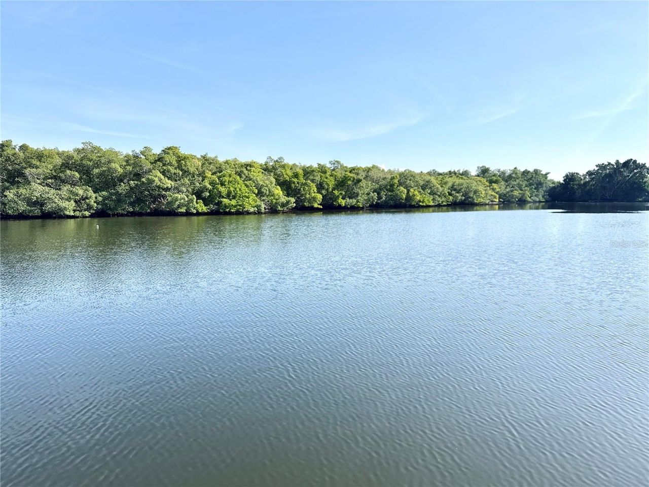 7127 Mount Piney Road Ne, Unit 718, Saint Petersburg, FL 33702 Photo