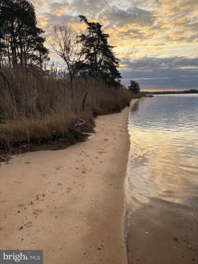 0 Clara Road, Tyaskin, MD 21865 Main Photo