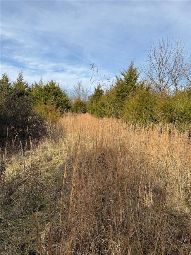 7890 Warsaw Road, Dry Ridge, KY 41035 Main Photo